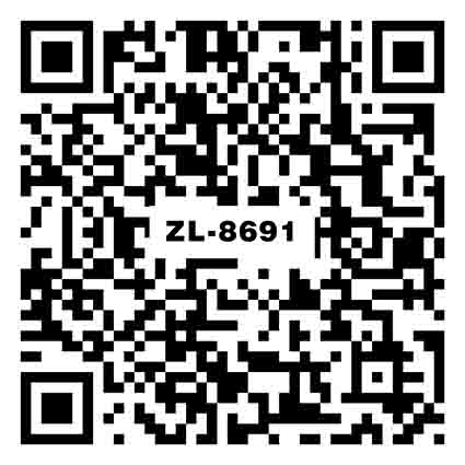 阿斯頓PZL8691